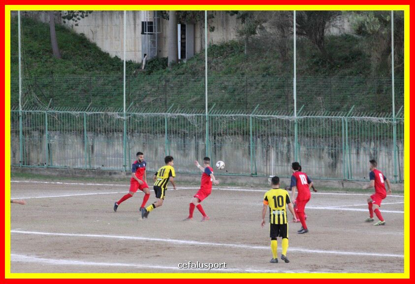 181111 Cepha_Milazzo 240_tn.JPG
